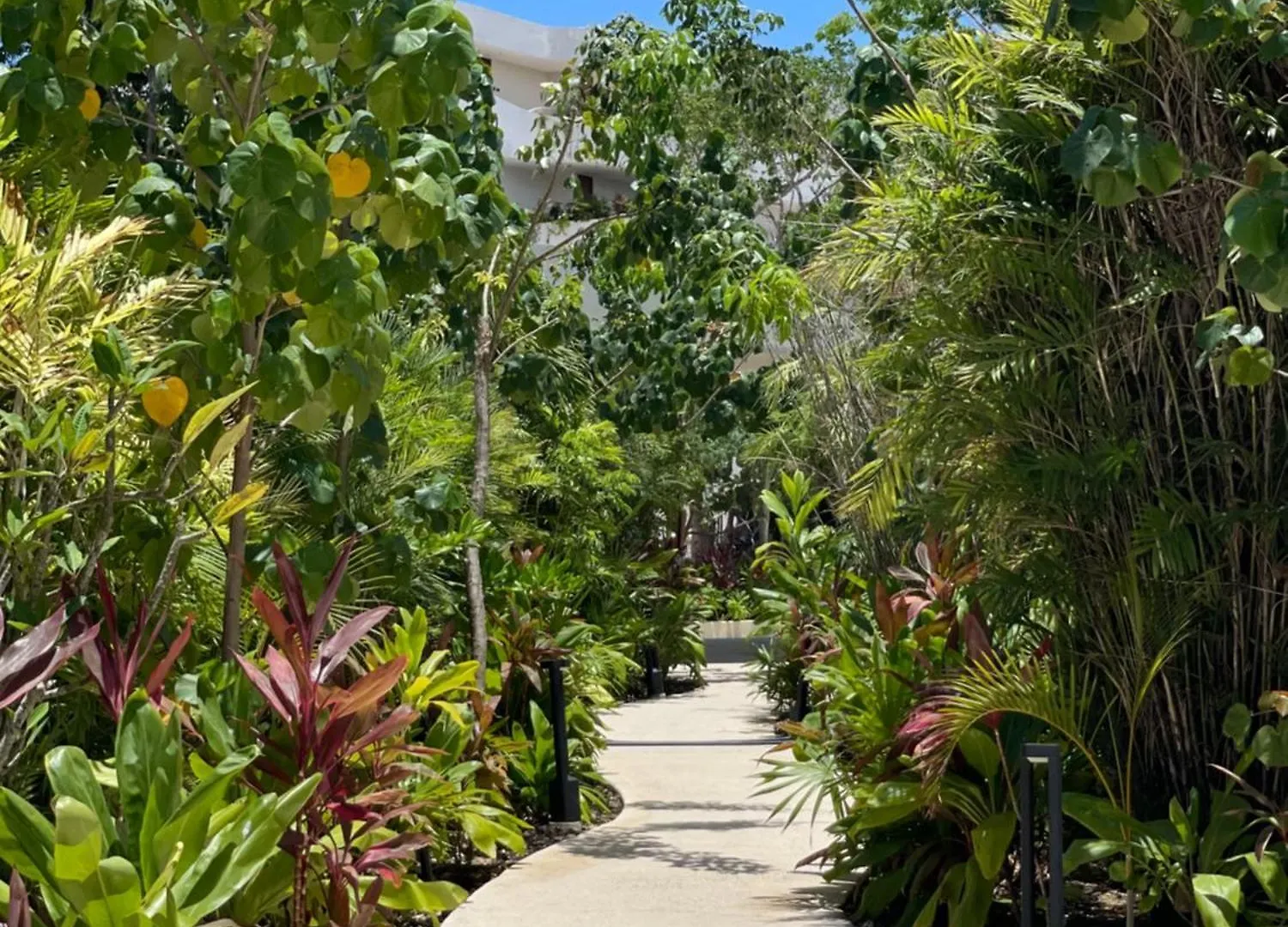 Appartamento Lu'Um Tulum 0*,