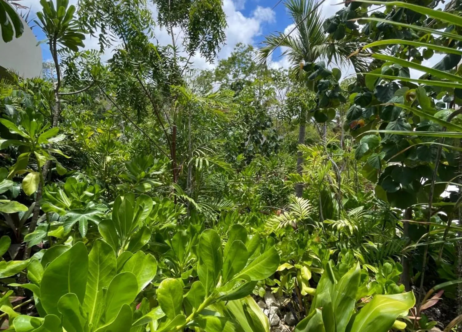 Appartamento Lu'Um Tulum